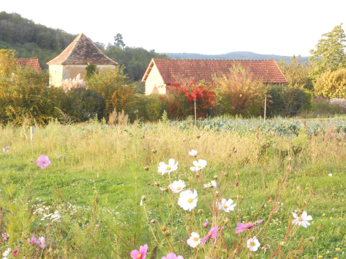 Chambres D'Hotes Le Roussel Le Buisson-de-Cadouin Exteriér fotografie